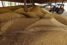 Фото - Таможенная подкомиссия одобрила увеличение квоты на экспорт зерна до 25,5 млн т