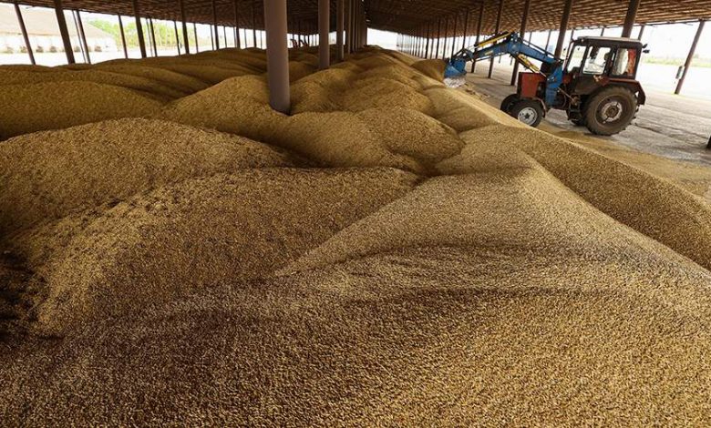 Фото - Таможенная подкомиссия одобрила увеличение квоты на экспорт зерна до 25,5 млн т