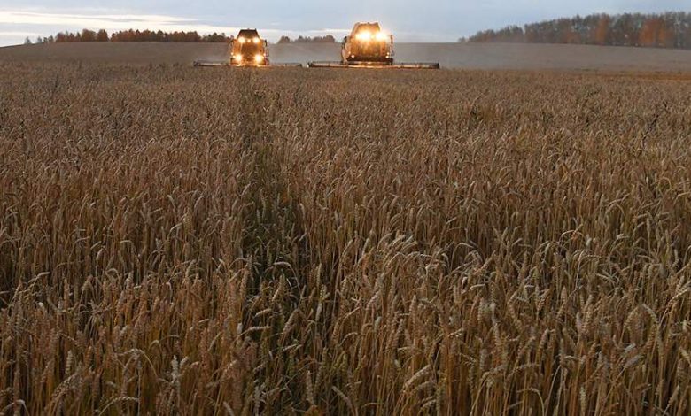 Фото - Великобритания, США и ЕС ослабили санкции против РФ в области сельского хозяйства